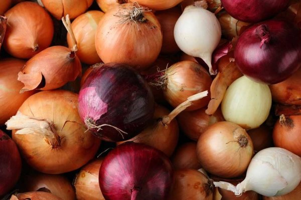 Ссылка на кракен tor