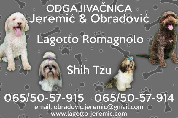 Модератор на кракене