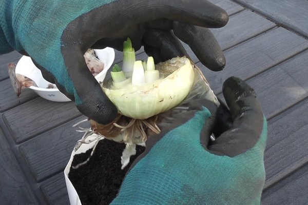 Кракен что можно купить