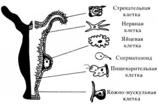 Кракен сайт ссылки актуальные