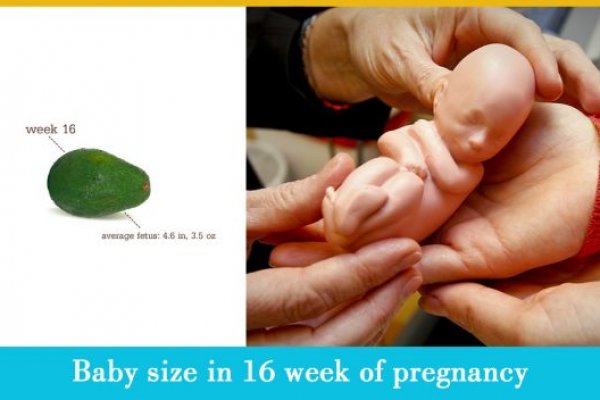 Через какой браузер можно зайти на кракен