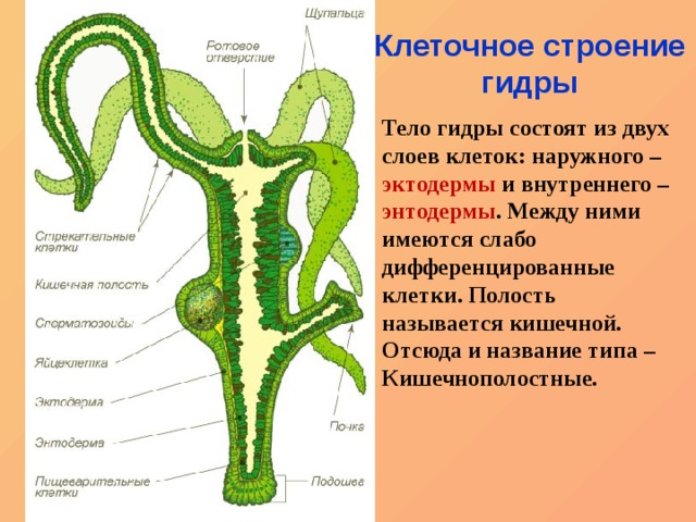 Как зарегаться в кракен